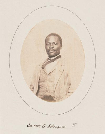 James Collins Johnson, Princetonin yliopisto,1860 (kuva) tekijältä George Kendall Warren
