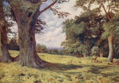 Glade Windsorin suuressa puistossa (värilitografia) tekijältä George Moore Henton