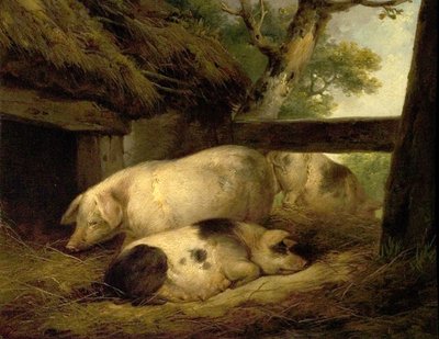 Sikojen tutkimus tekijältä George Morland