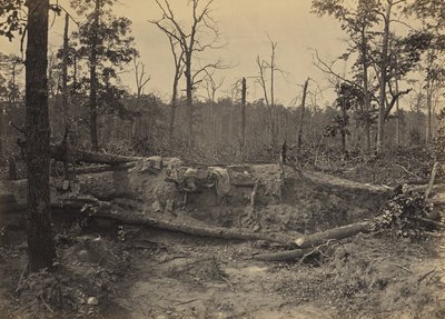 New Hopen kirkon taistelukenttä, Georgia, nro 2 tekijältä George N. Barnard