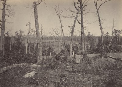 Resaccan taistelukenttä, Georgia nro 3, 1860-luku. tekijältä George N. Barnard
