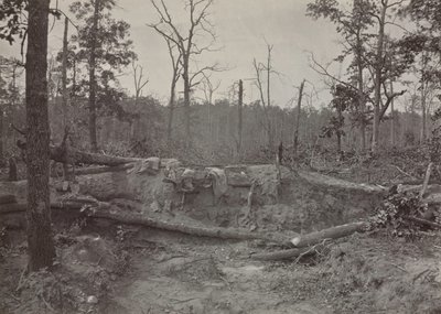 Battlefield of New Hope Church, Georgia, nro 2, 1865-1866. tekijältä George N. Barnard