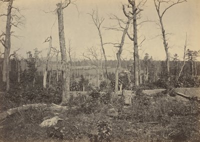 Resacan taistelukenttä, Georgia, N:o 3,1864 (kuva) (kuva) tekijältä George N. Barnard