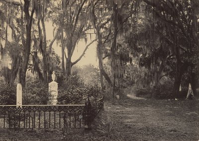 Bonaventure, Savannah, Georgia, 1860-luku. tekijältä George N. Barnard