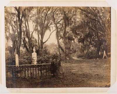Buen-Ventura, Savannah, Georgia tekijältä George N. Barnard