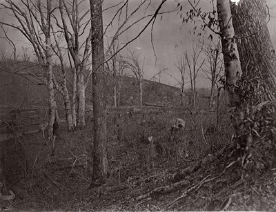 Bull Run, Virginia, 1861-62. tekijältä George N. Barnard