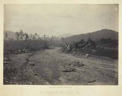 Buzzard Roost, GA tekijältä George N. Barnard
