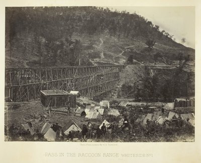 Raccoon Range -sola, Whiteside nro 1, 1864. tekijältä George N. Barnard