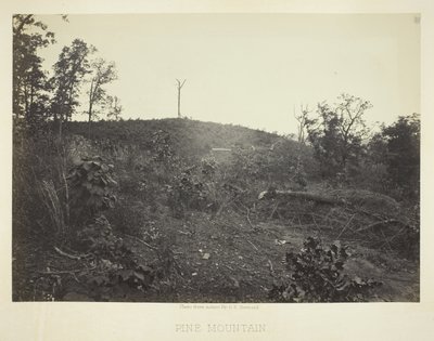 Pine Mountain tekijältä George N. Barnard