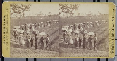 Paluu Cottonfieldsistä Etelä-Carolinassa (stereografi) tekijältä George N. Barnard