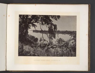 Savannahjoki lähellä Savannahia, Georgia tekijältä George N. Barnard