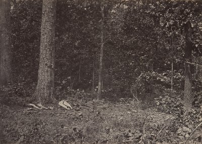 Kenraali McPhersonin kuoleman kohtaus, 1864 tai 1866. tekijältä George N. Barnard