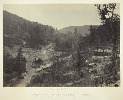Whiteside Valley below the Bridge, 1864. finlandès tekijältä George N. Barnard