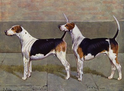 Puckeridge Foxhounds -kolonisti ja kardinaali tekijältä George Paice