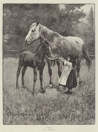 Kuin herran kukkarossa tekijältä George Percy Jacomb Hood