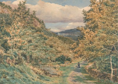 Uma estrada perto de Bettws-y-Coedfinnish tekijältä George Price Boyce