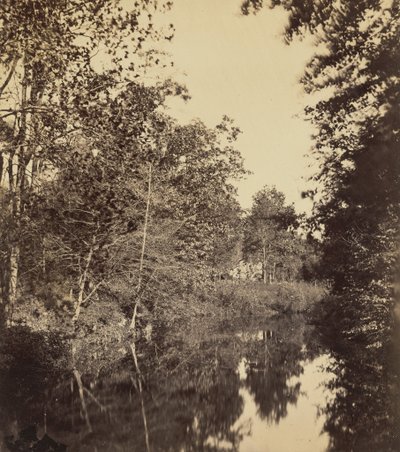 Dell,1863 (kuva) tekijältä George Rockwood Gardner