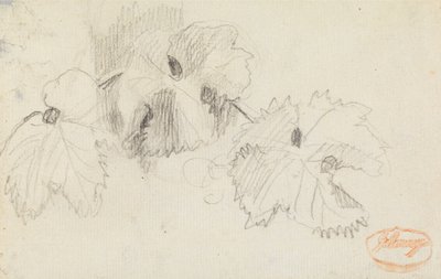 Lehtien tutkimus 1 tekijältä George Romney