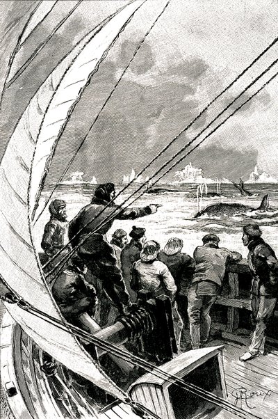 Merellä napaa kohti: laivan (purjeveneen) miehistö näkee ryhmän valaita. Kuvitus Jules Vernen (1828-1905) romaanista "" Jääsfinksi "" tekijältä George Roux