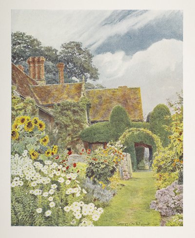 Cleeve Prior, Sunflowers, kuvitus teoksessa "Some English Gardens", George S. Jekzel Elgood & Gertrude Jekyll tekijältä George Samuel Elgood