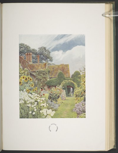 Cleeve Prior, Sunflowers, kuvitus teoksessa "Some English Gardens", George S. Jekzel Elgood & Gertrude Jekyll tekijältä George Samuel Elgood