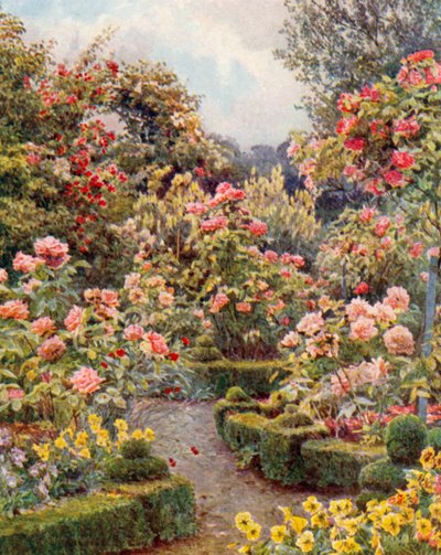 "Kaikkialla on ruusuja, ruusuja, ruusuja" (värilitografia). tekijältä George Samuel Elgood