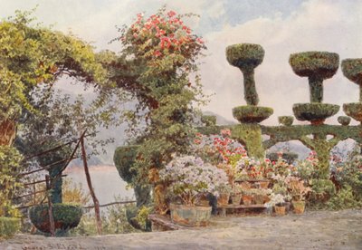 Italialaiset puutarhat: La Badia, luostarin etupiha (värilitro): La Badia, luostarin etupiha (värilitro) tekijältä George Samuel Elgood