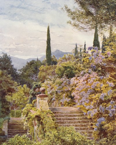 Italialaiset puutarhat: Wistaria, Villa Cavagnaro (värilitro) tekijältä George Samuel Elgood