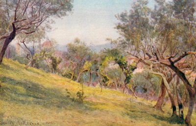 Öljymäen läpi, Firenze (värilitografia) tekijältä George Samuel Elgood