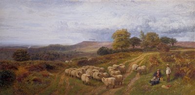 Laaja maisema paimenen ja hänen lammaslaumansa kanssa, Surrey (öljy kankaalle) tekijältä George Shalders