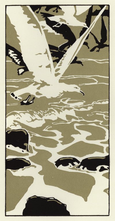 Rannalta tuli suuri valkoinen lokki (väri litho) tekijältä George Sheringham