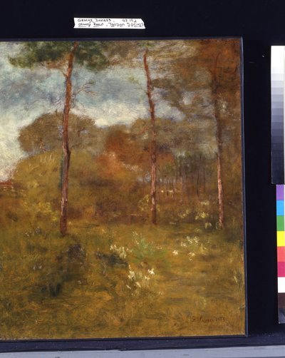 Orange Road, Tarpon Springs (öljy kankaalle) tekijältä George Snr. Inness