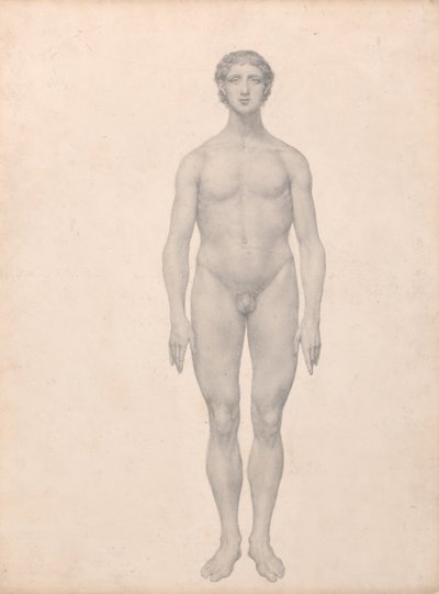 Vertaileva anatominen selvitys ihmiskehon rakenteesta tiikerin ja tavallisen linnun rakenteeseen verrattuna:  Ihmishahmo, etukuva, leikkaamaton (valmis tutkimus taulukkoa VI varten). tekijältä George Stubbs