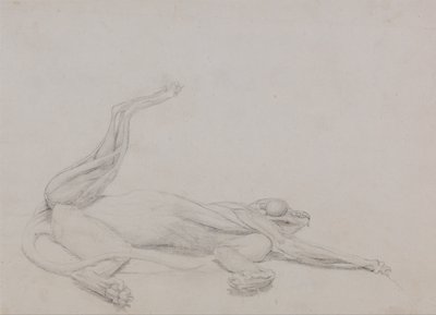 Vertaileva anatominen selvitys ihmiskehon rakenteesta tiikerin ja tavallisen linnun rakenteeseen verrattuna:  Tiikerin vartalo, makuuasennossa, ventraalisesti katsottuna. tekijältä George Stubbs