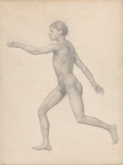 Vertaileva anatominen selvitys ihmiskehon rakenteesta tiikerin ja tavallisen linnun rakenteeseen verrattuna: Ihmishahmo, sivukuva, leikkaamaton (Valmis tutkimus taulukkoa VIII varten). tekijältä George Stubbs