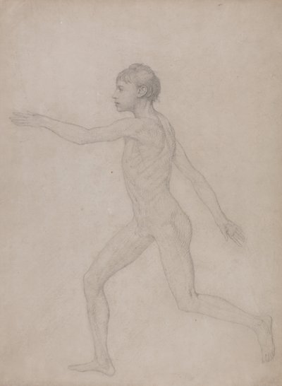 Vertaileva anatominen selvitys ihmiskehon rakenteesta tiikerin ja tavallisen linnun rakenteeseen verrattuna: (Alustava luonnos taulukon VIII lopullista tutkimusta varten). tekijältä George Stubbs