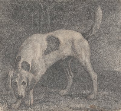 Kettukoira tuoksussa tekijältä George Stubbs