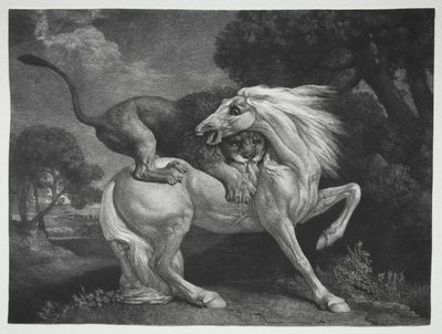 Leijonan kimppuun hyökännyt hevonen, 1788. tekijältä George Stubbs