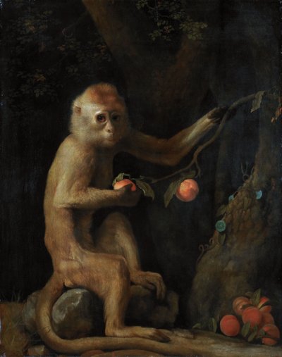 Apina tekijältä George Stubbs
