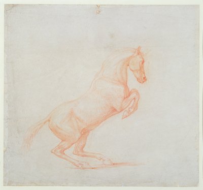 Hyppivä hevonen, kasvot oikealle, 1790 (punainen liitu paperille). tekijältä George Stubbs