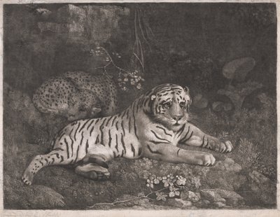 Tiikeri ja Nukkuva Leopardi tekijältä George Stubbs