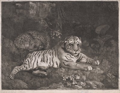 Tiikeri ja nukkuva leopardi tekijältä George Stubbs