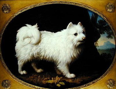 Valkoinen spits, n. 1770 (öljy emaliposliinille) tekijältä George Stubbs