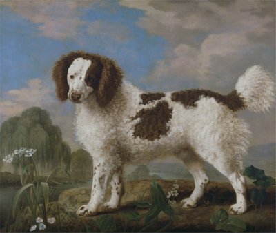 Ruskeavalkoinen Norfolk tai vesispanieli tekijältä George Stubbs