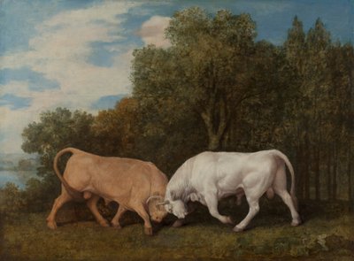 Härkätaistelu tekijältä George Stubbs