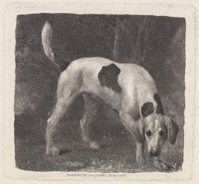 Koira [Foxhound on tuoksu] tekijältä George Stubbs