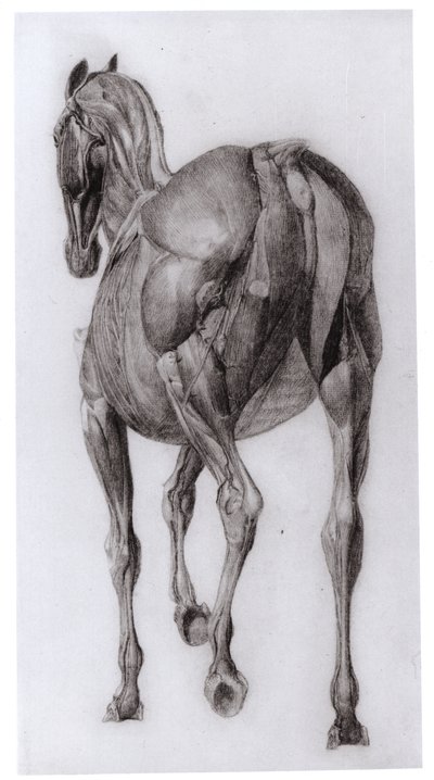 Huonekalut ja erilaiset esineet 1100- ja 1300-luvuilta tekijältä George Stubbs
