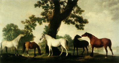 "Five Brood Tames at Duke of Cumberlandin hevostilalla Windsor Great Parkissa", 1765, 1944. tekijältä George Stubbs