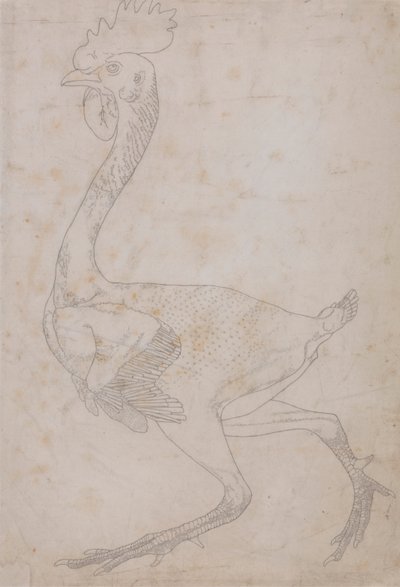 Kanan runko, sivunäkymä (luultavasti valmisteltu siirrettäväksi levylle taulukon X avainhahmon kaivertamista varten) tekijältä George Stubbs