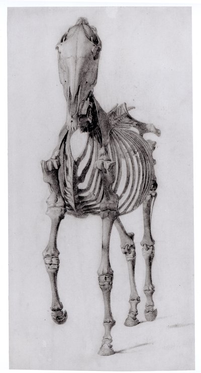 Huonekalut ja erilaiset esineet 1100- ja 1300-luvuilta tekijältä George Stubbs